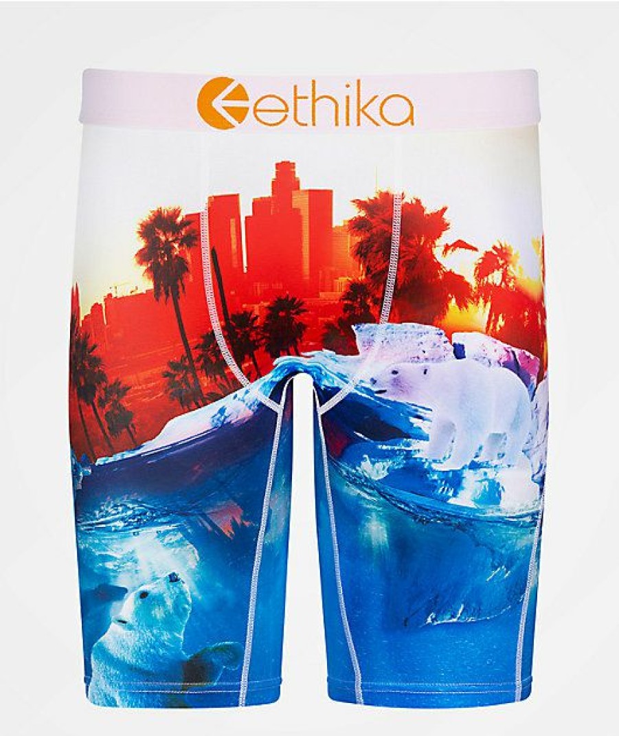 Kids Boxer Briefs * | Ethika Boys Polar World Boxer Briefs New Collections