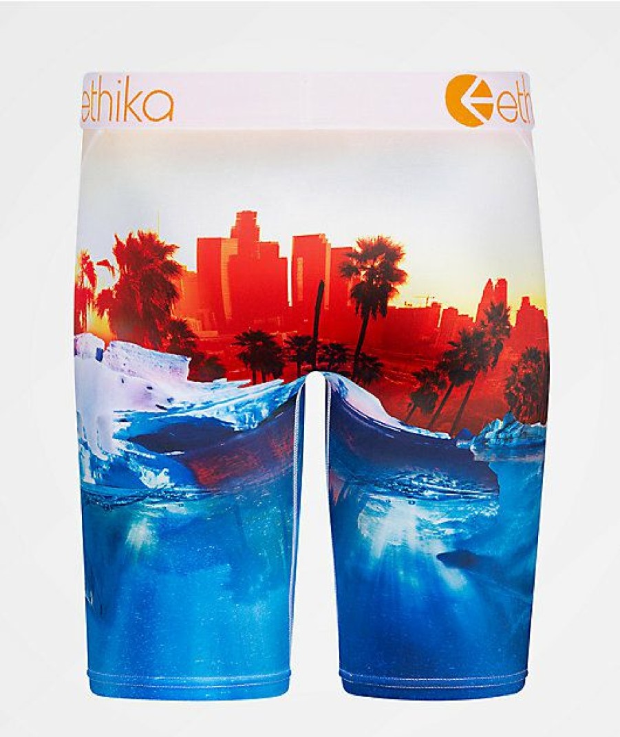 Kids Boxer Briefs * | Ethika Boys Polar World Boxer Briefs New Collections